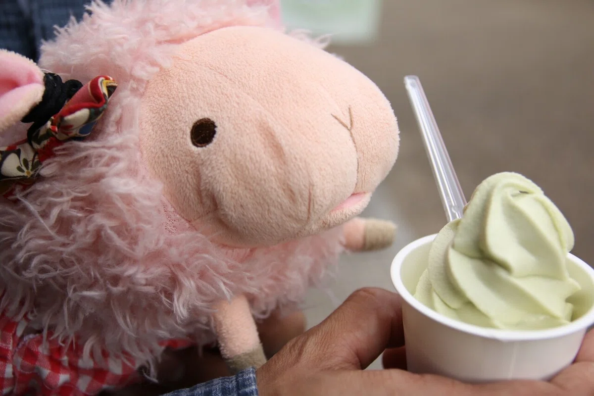 画像127