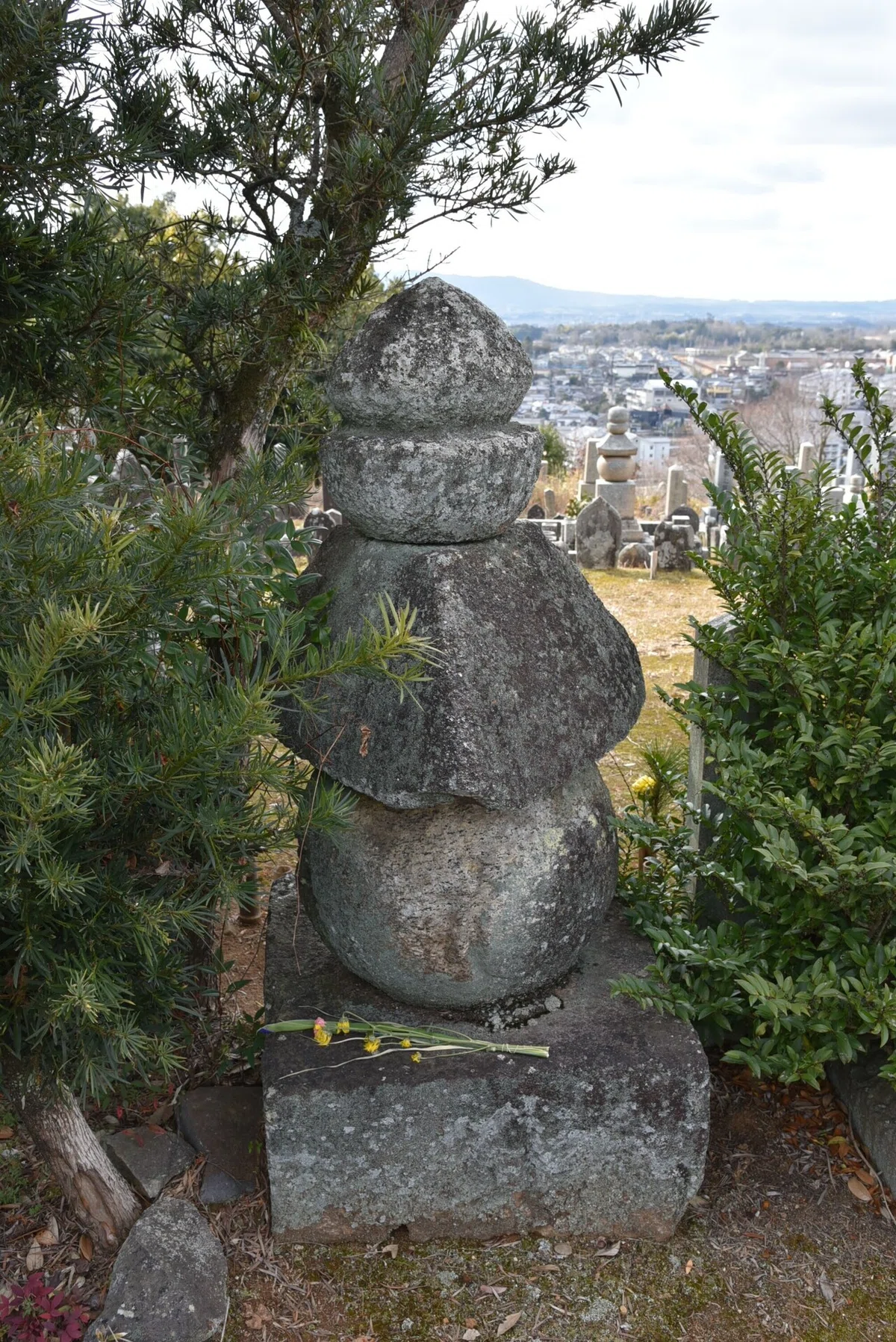 画像2