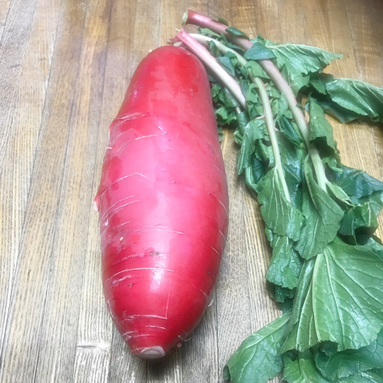 赤だいこんと紅芯大根と志麻さんレシピ Soundsurfer サウ Note 赤だいこんと紅芯大根と志麻さんレシピ Soundsurfer サウ Note