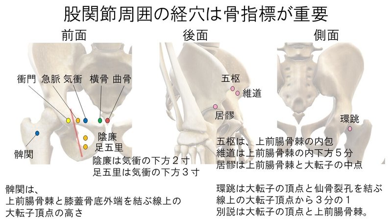 オンライン講義記事 経絡経穴概論 下肢編 Yamato 鍼灸師で東洋医学のおにいさん Note