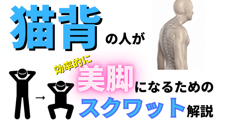 猫背の人が美脚になるために必要なスクワット解説 キネセラ 姿勢に特化したお悩み解決 Note 猫背の人が美脚になるために必要なスクワット解説 キネセラ 姿勢に特化したお悩み解決 Note