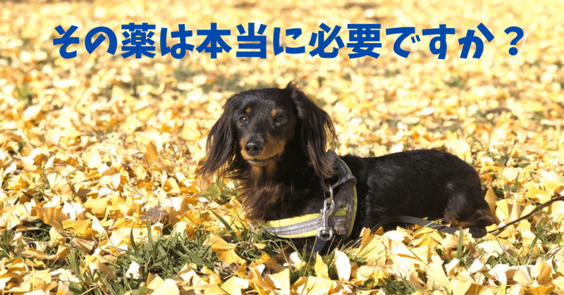 犬のお薬 の新着タグ記事一覧 Note つくる つながる とどける