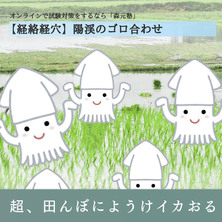 解剖学 図解 イラスト とゴロで簡単 嗅ぎタバコ入れ の覚え方 森元塾 国家試験対策 Note