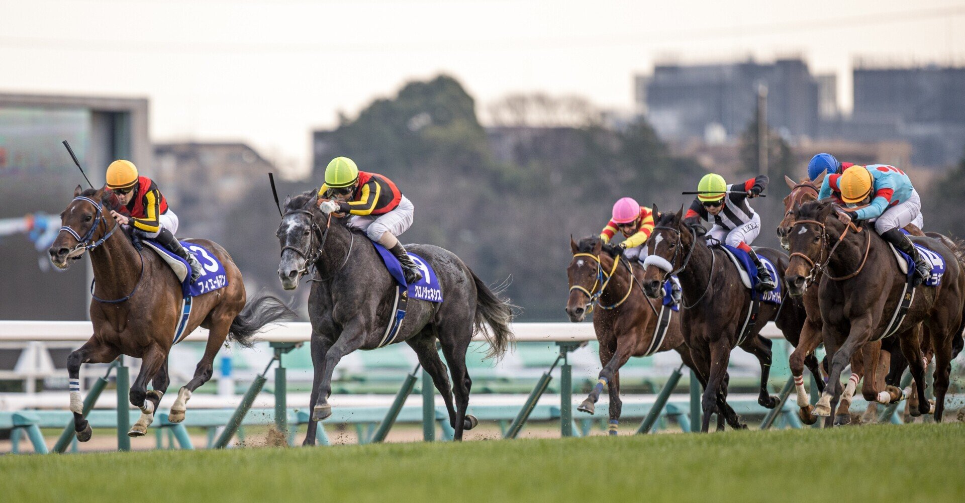 7. 有馬記念2020 回顧｜かいせい