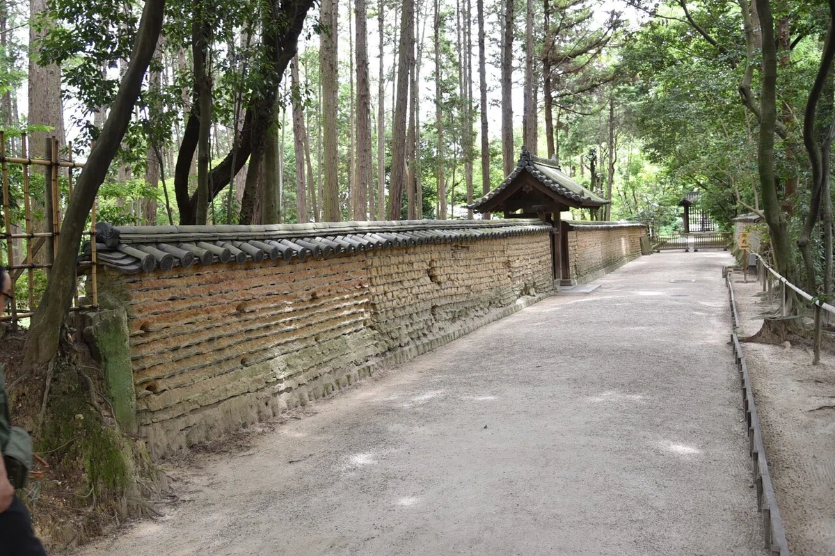 画像7