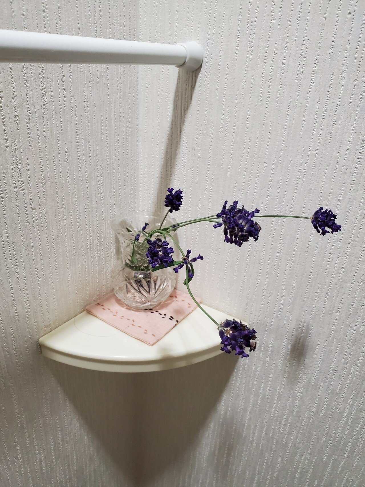 トイレの花 ３歩 Note