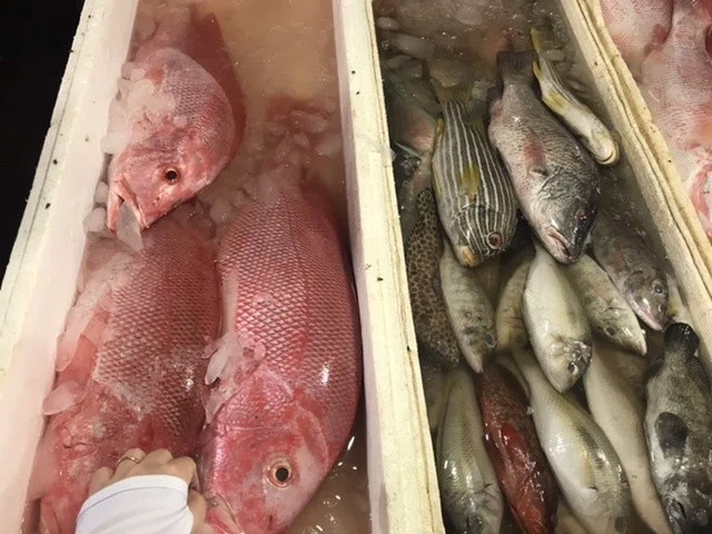 バリ島kedongananにある魚市場 Pasar Ikan Kedonganan まきぞう In ジャカルタ Note