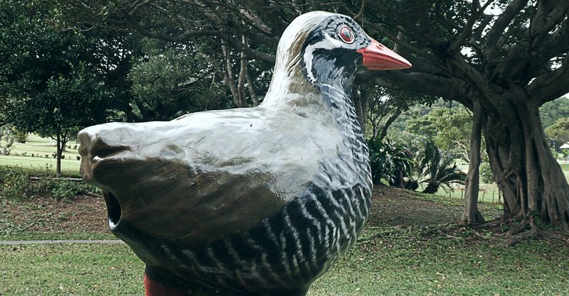 ヤンバルクイナ生態展示学習施設 の新着タグ記事一覧 Note つくる つながる とどける ヤンバルクイナ生態展示学習施設 の新着タグ記事一覧 Note つくる つながる とどける