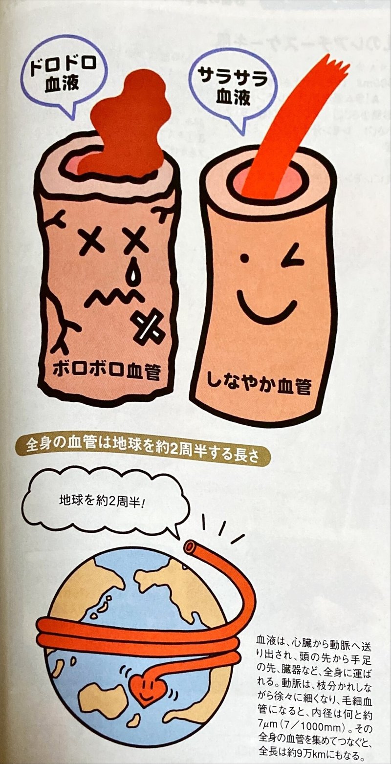 血液をサラサラに 血管をしなやかにについて 宮古島のきわめて健康コラム Vol 170 あるお薬屋さんのひとりごと Note 血液をサラサラに 血管をしなやかにについて 宮古島のきわめて健康コラム Vol 170 あるお薬屋さんのひとりごと Note