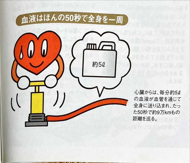 血液をサラサラに 血管をしなやかにについて 宮古島のきわめて健康コラム Vol 170 あるお薬屋さんのひとりごと Note