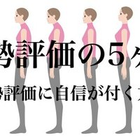 側弯症の機能改善をする考え方 薬師寺偲 理学療法士 ピラティス Note