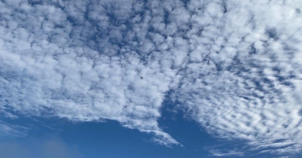 ドローンの語源 Taka315 Note