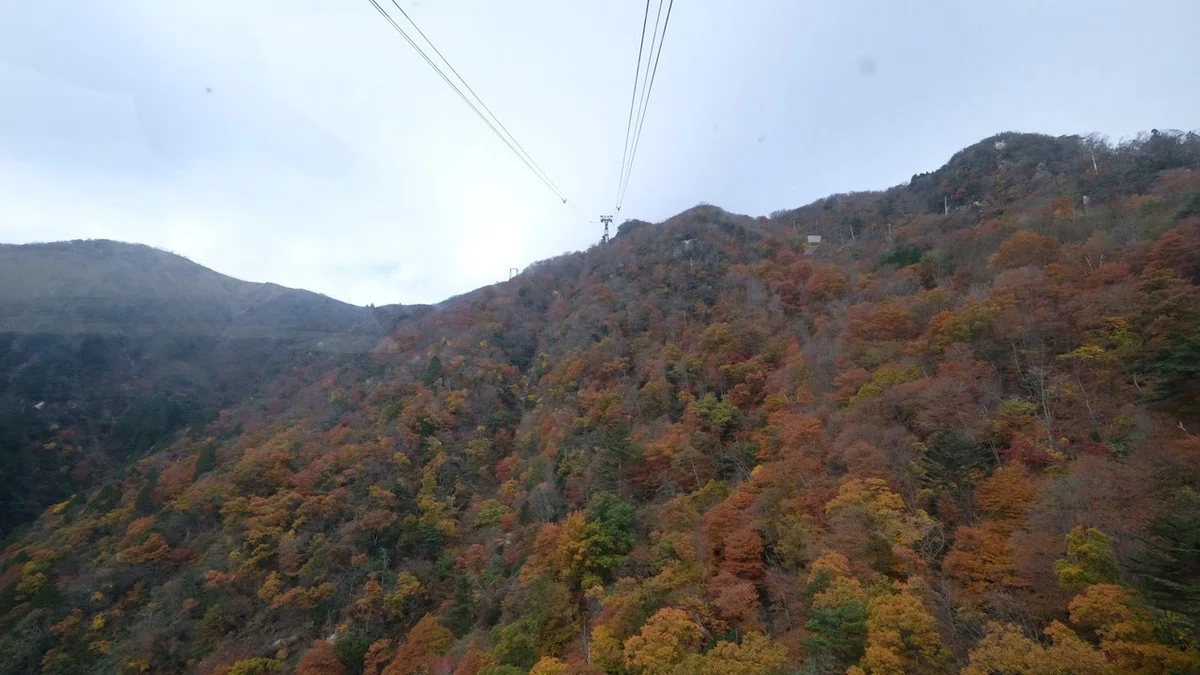 画像138