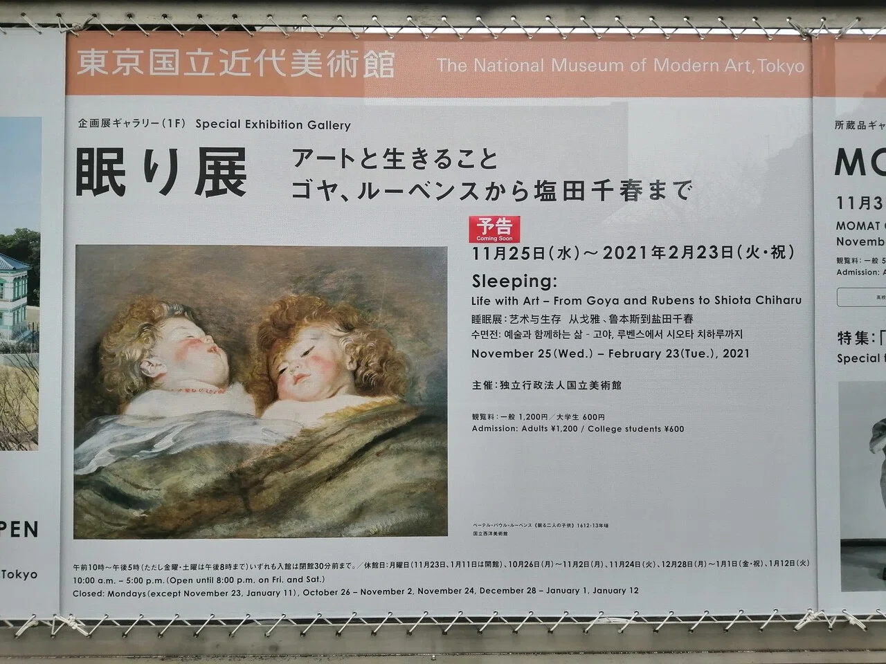眠り」が苦手だった私を眠れるようにしてくれた展覧会💤『眠り展