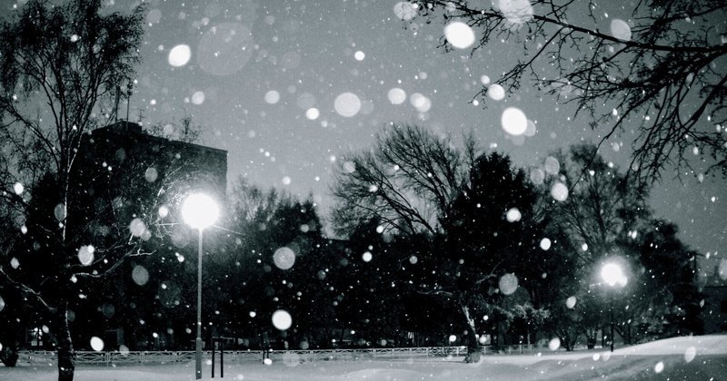 鐘が鳴ったり雪になったり大晦日