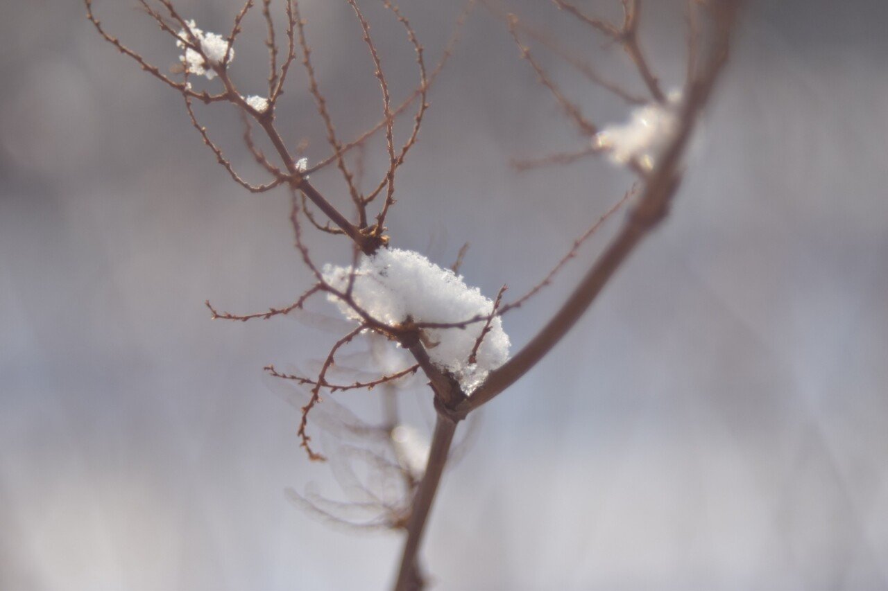 こだわりが強すぎると一人ぼっちになる 他人への寛容性も大事 竜崎大輝 Note