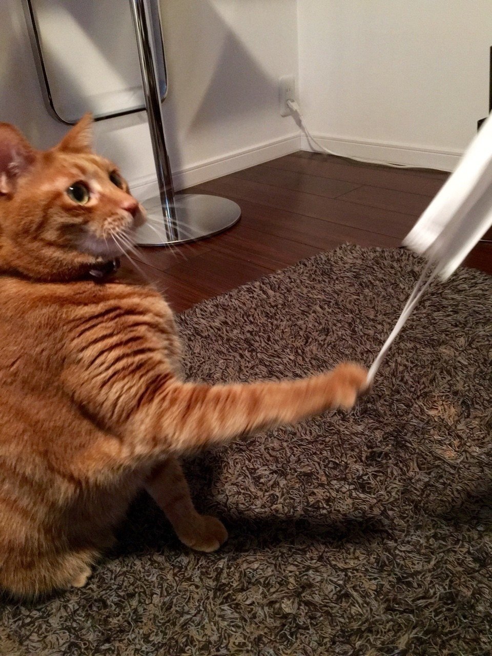 ママのマスクをビーっ ボク お兄ちゃん です Mizunote Note