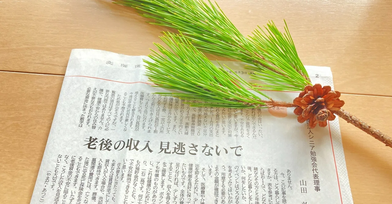 Don't Overlook Your Retirement Income (Hokkaido Shimbun Series Part 3 ...