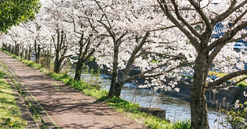 来年はもっと逍遙したい🌈