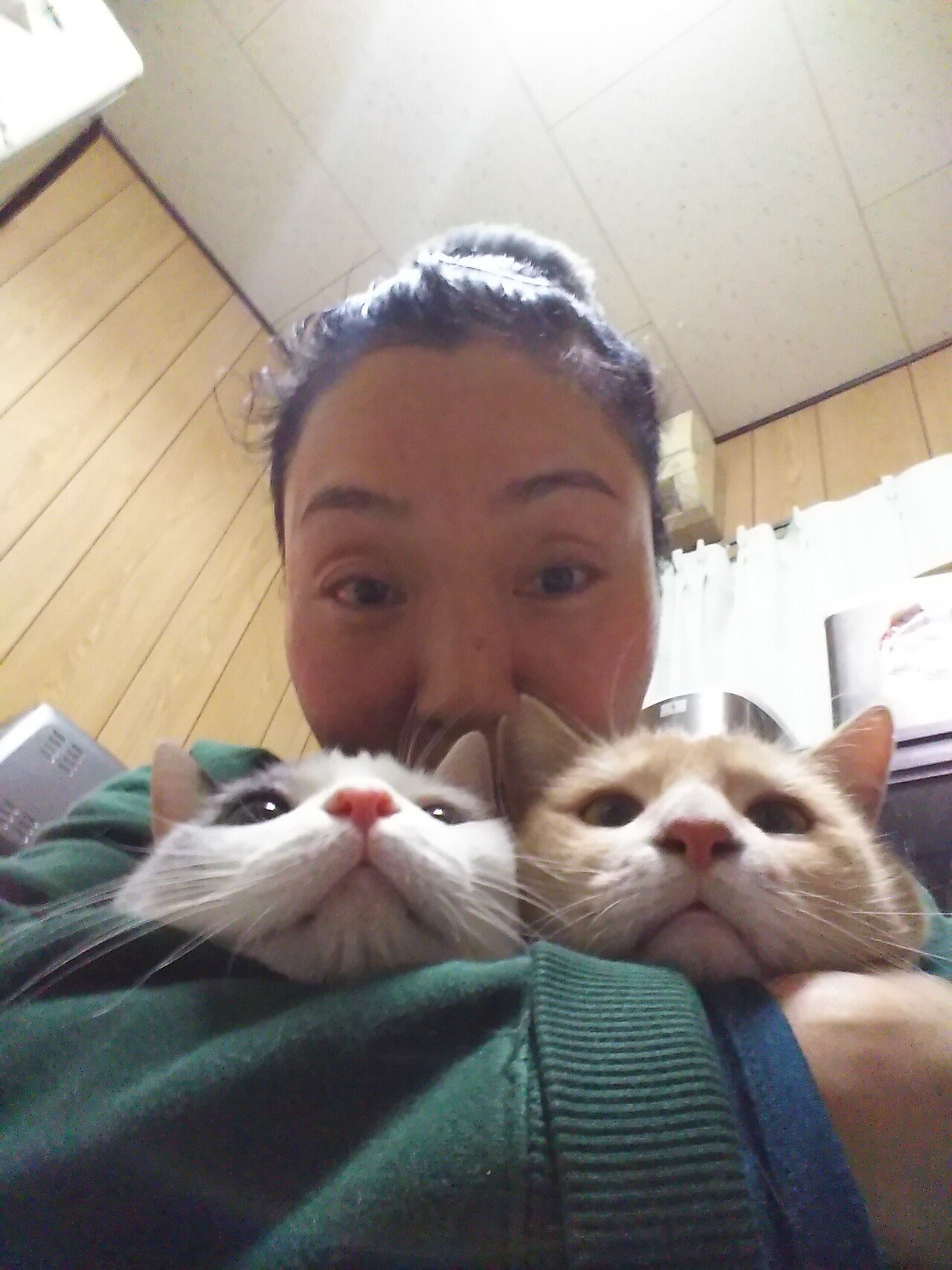 猫が西向きゃ尾は東 奥田民代 Note