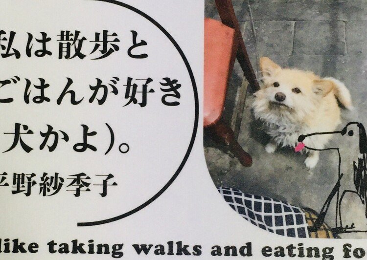 私は散歩とごはんが好き 犬かよ の新着タグ記事一覧 Note つくる つながる とどける