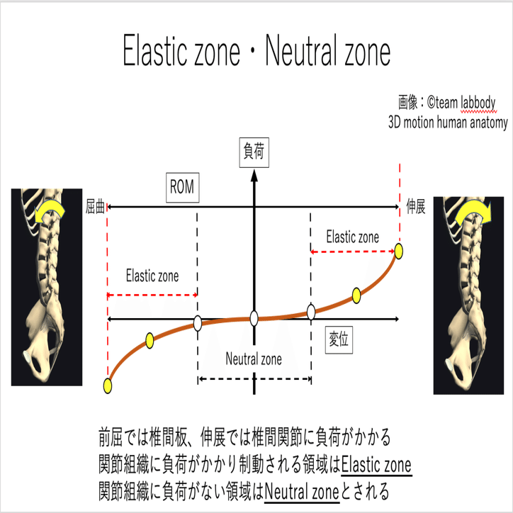11/1.一般向けオンラインサロンオープン！】 \u2061 前もものストレッチをやろうとすると、 どうしても腰が反ってしまう… そんな声をよく耳に... |  TikTok, image size:1280x724