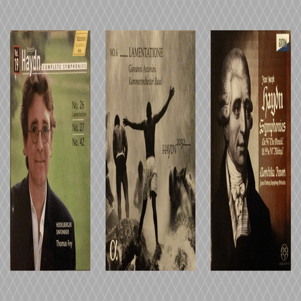 ハイドン交響曲全集 エルンスト・メルツェンドルファー&ウィーン室内管弦楽団 ハイドン交響曲全集 エルンスト・メルツェンドルファー&ウィーン室内