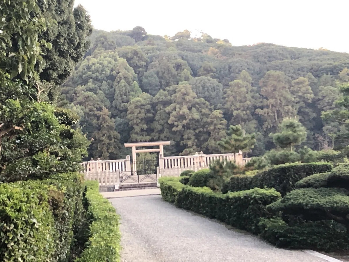 画像5