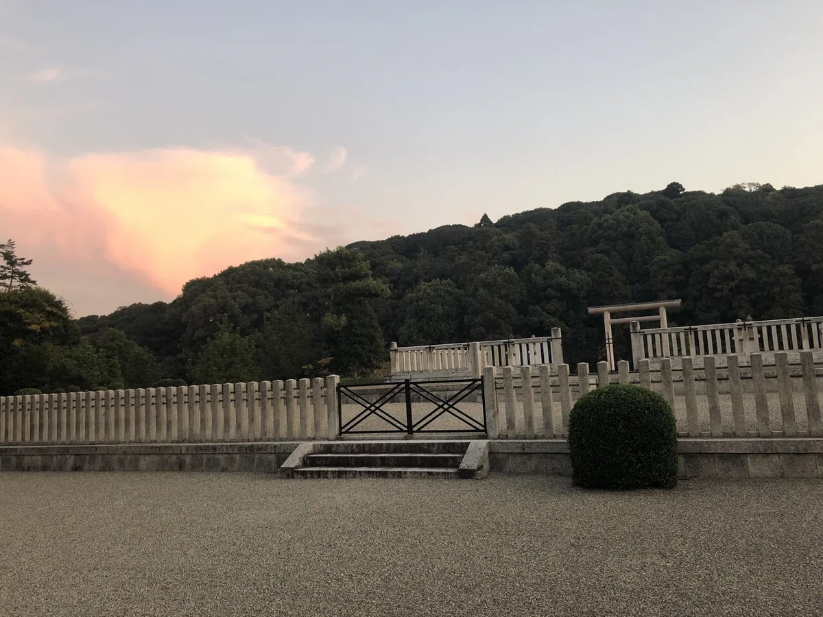 画像6