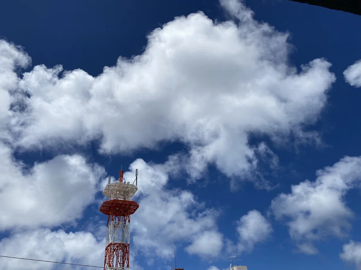 画像18