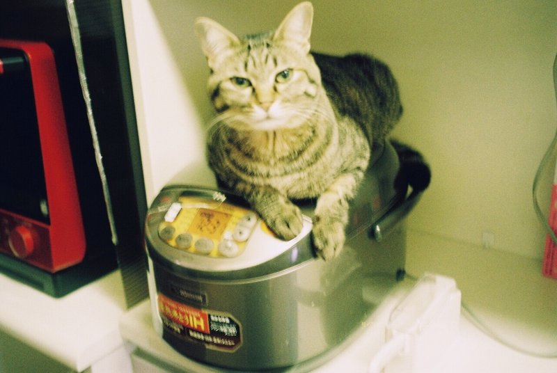 上手く生きられない っていうのが 生きてる ってことだ かしえり Note