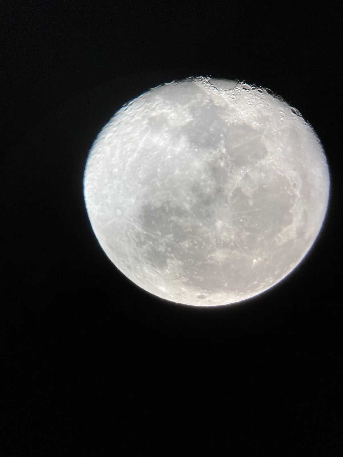 画像39