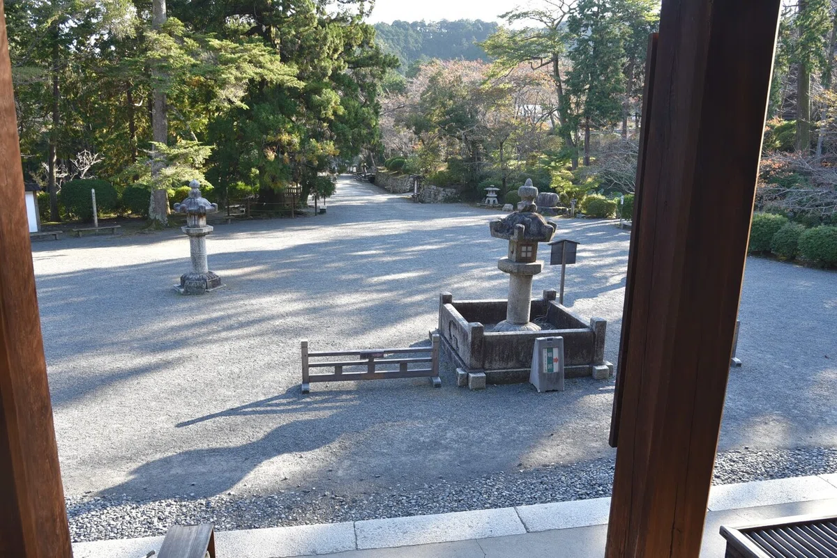 画像8