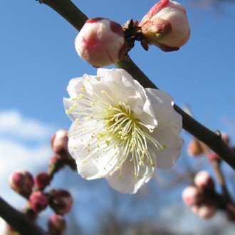 神は乗り越えられる試練しか与えない スクリプトドクター 三宅さんの 反対のものをぶつけるといい 脚本アドバイス Kawasemi787 Note 神は乗り越えられる試練しか与えない スクリプトドクター 三宅さんの 反対のものをぶつけるといい 脚本アドバイス Kawasemi787 Note