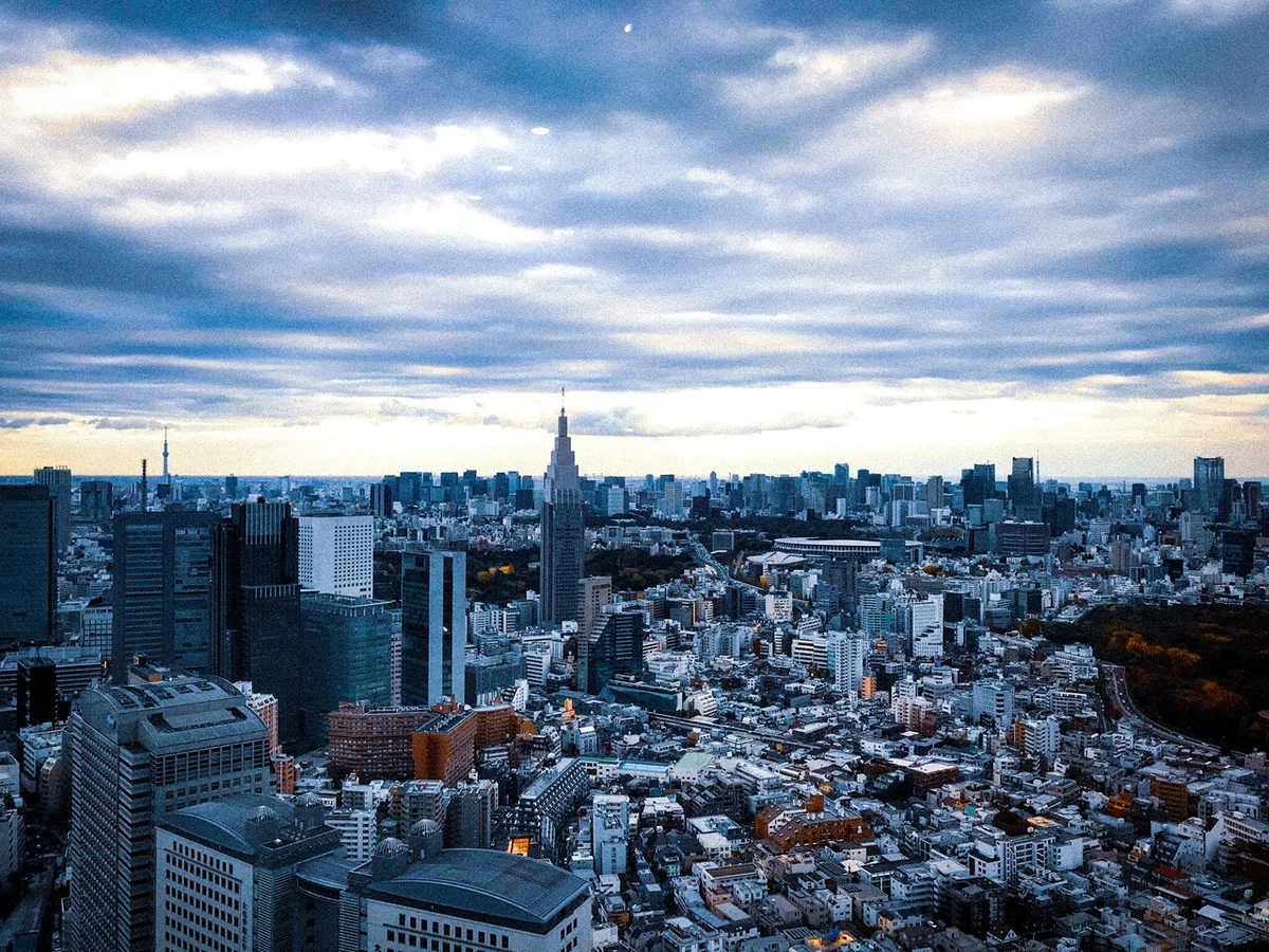 画像8