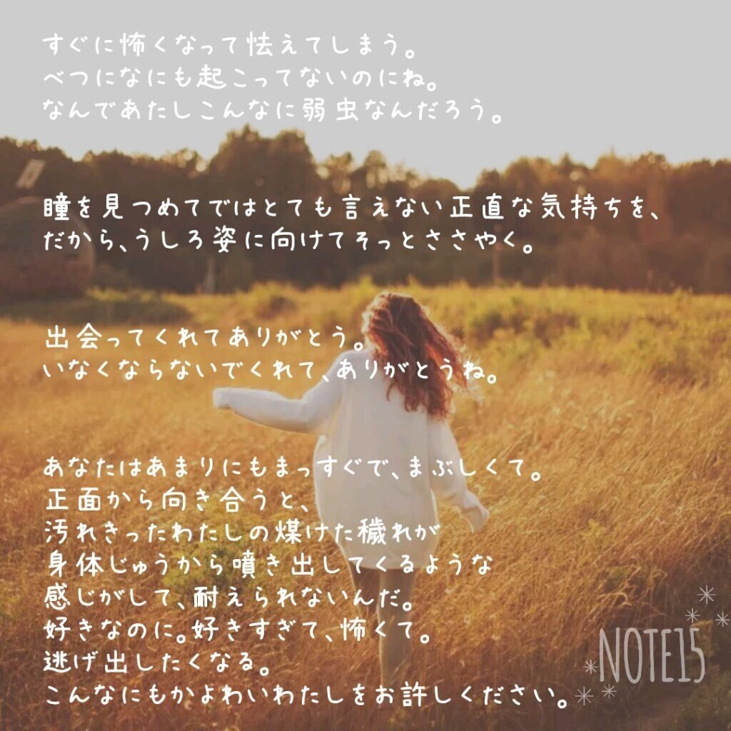 ミミィの年のノート Note