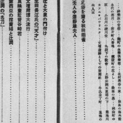【最終値下げ】辻潤　ぼうふら以前 辻潤 ぼうふら以前