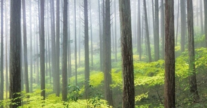 山の中の家 島 清明 Note