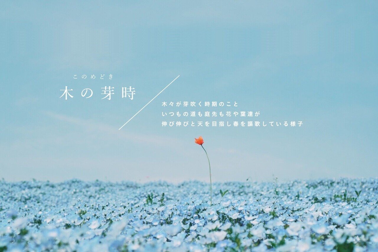 年に出会った美しい日本語たち 古性のち Note 年に出会った美しい日本語たち 古性のち Note