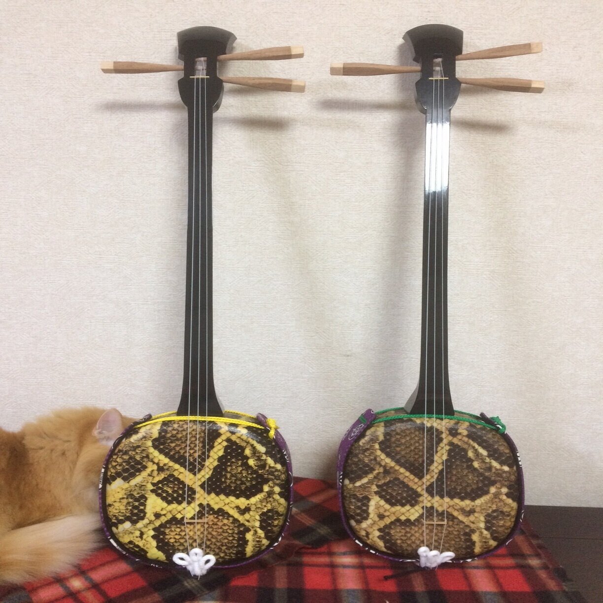 理想の三線探偵団11 完結編 手作り三線 自作三線できました 左大文字堯司 Note