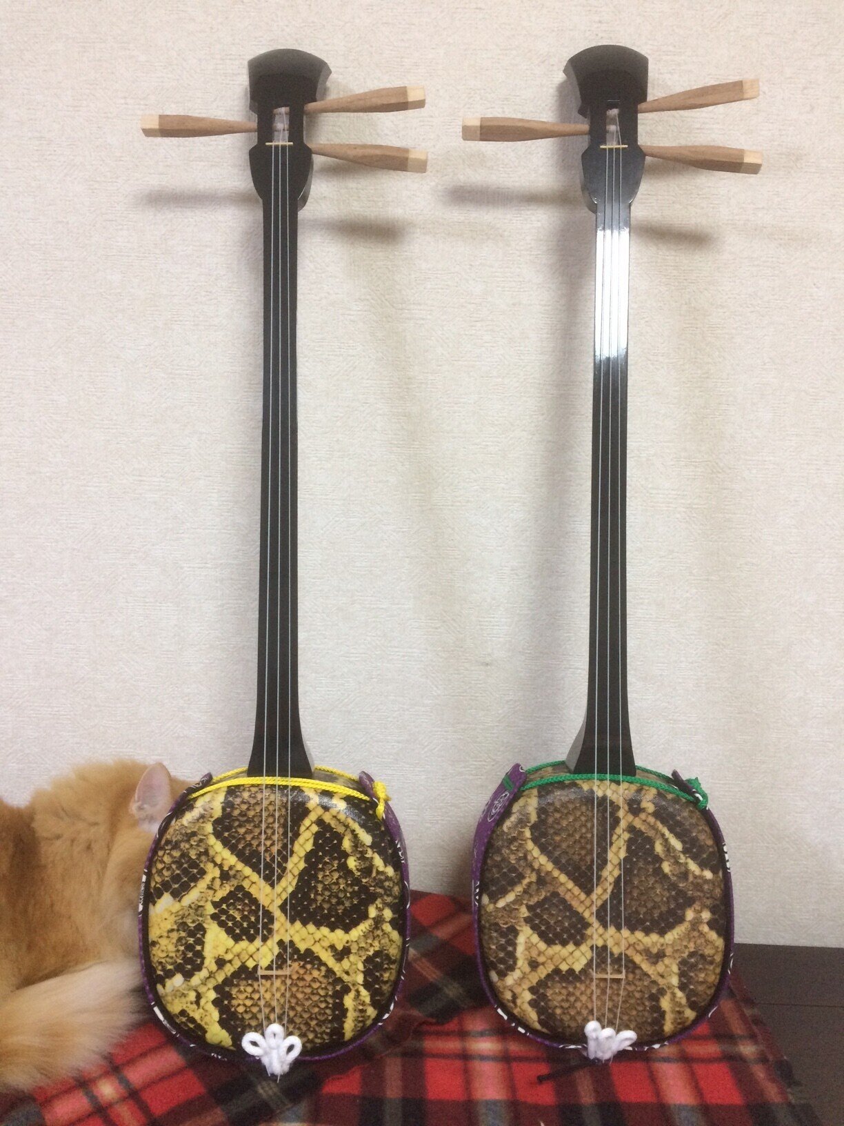 理想の三線探偵団11 完結編 手作り三線 自作三線できました 左大文字堯司 Note 理想の三線探偵団11 完結編 手作り三線 自作三線できました 左大文字堯司 Note