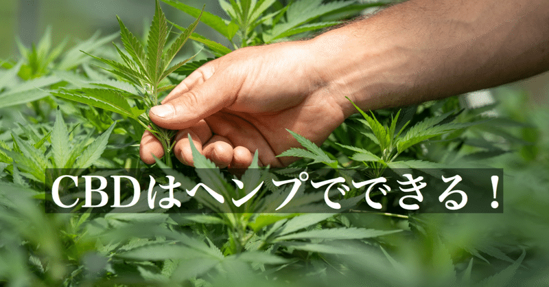 Cannabis Awareness Magazine 大麻 野中 烈 Note