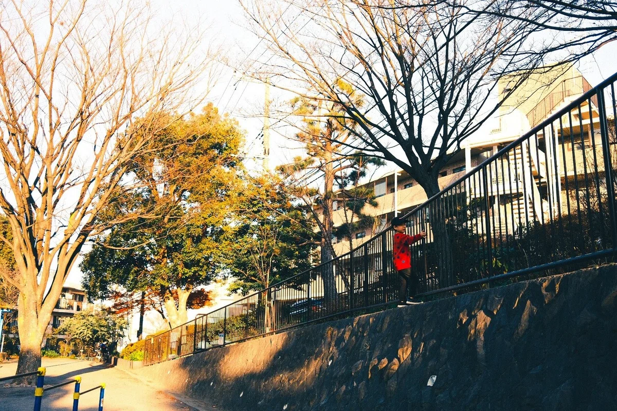 画像5
