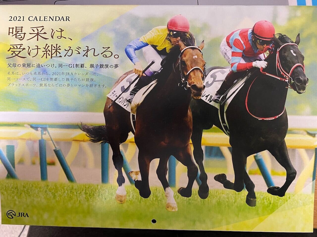 年振り返りと有馬記念ファン投票の景品 べらぼう Note 年振り返りと有馬記念ファン投票の景品 べらぼう Note