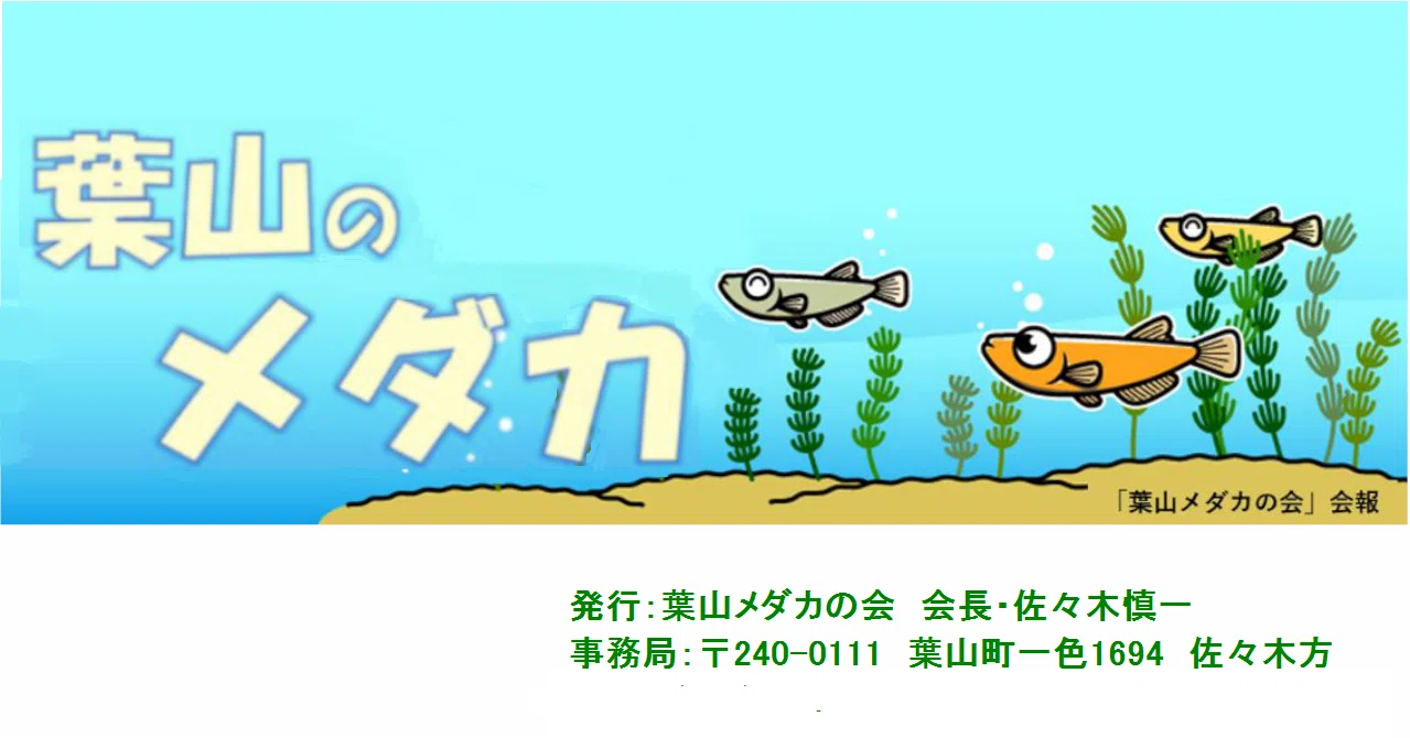 会報 年12月号 No 174 葉山メダカの会 Note