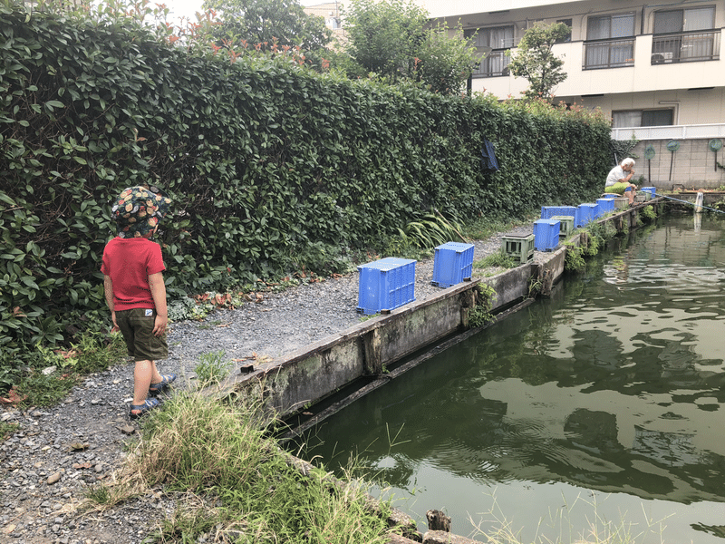 阿佐ヶ谷にある金魚の釣り堀 北世田谷のサックス吹き Note 阿佐ヶ谷にある金魚の釣り堀 北世田谷のサックス吹き Note