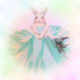 Charming Rabbit