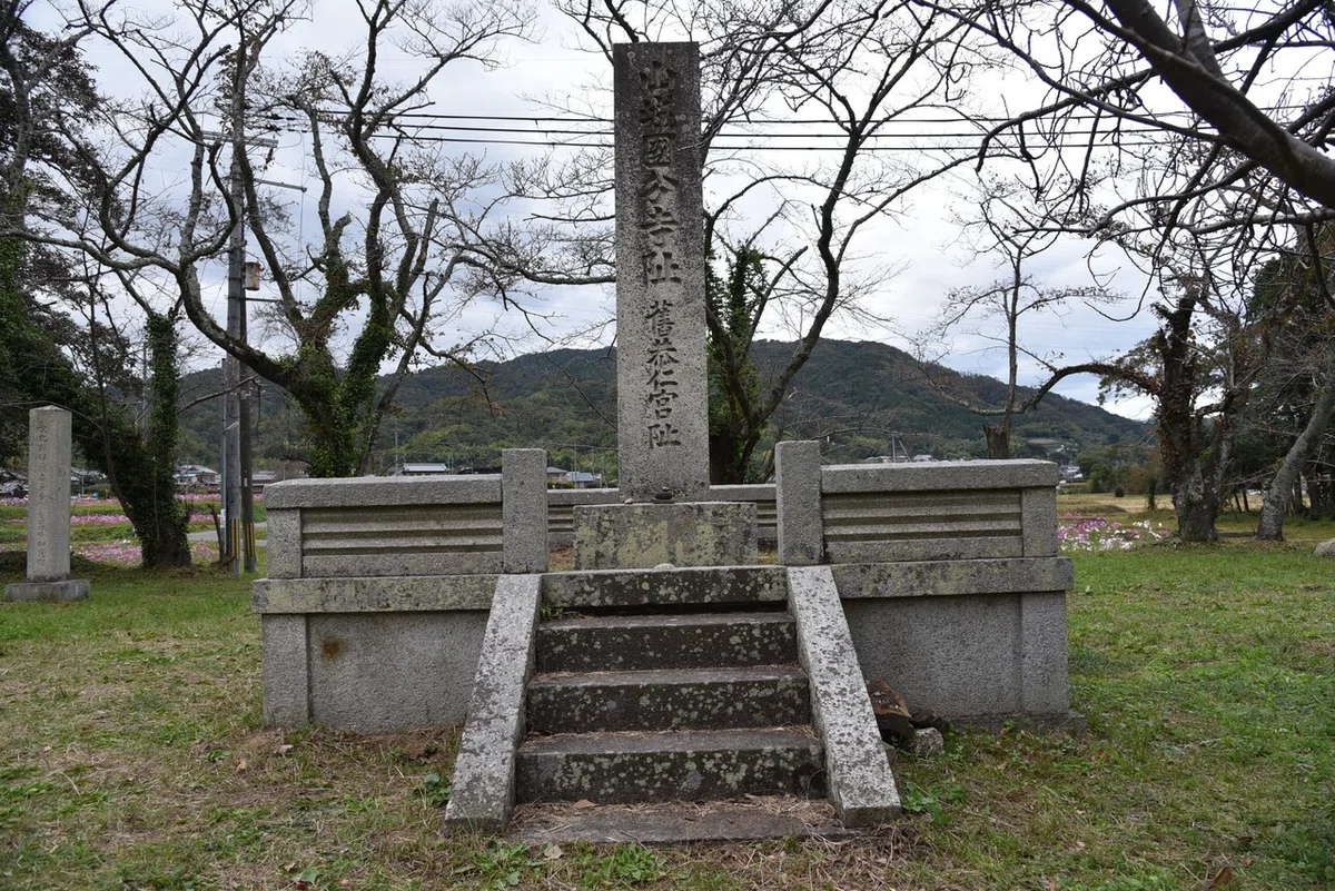 画像5