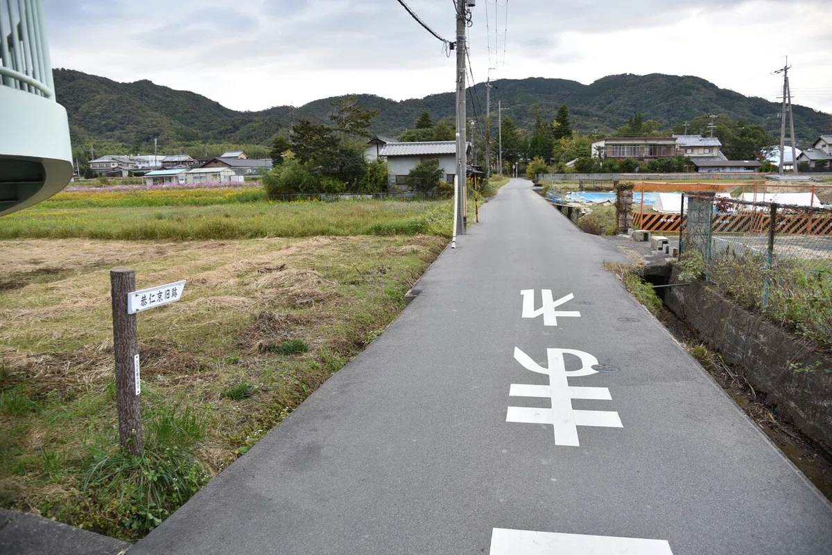 画像6