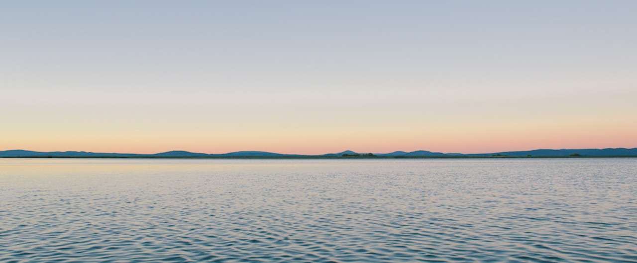 海